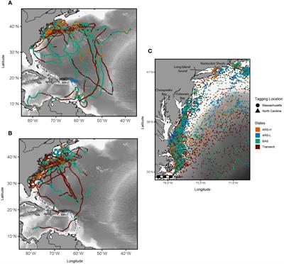 Where the leatherbacks roam: <mark class="highlighted">movement behavior</mark> analyses reveal novel foraging locations along the Northwest Atlantic shelf
